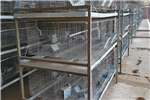 Cooling systems Driptrays 1X2m galvanized Farming spares