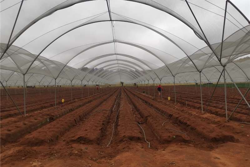 Pipes and fittings IRRIGATION DRIP LINES Irrigation