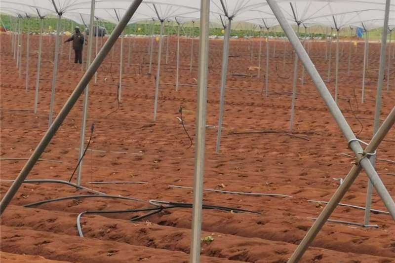 Pipes and fittings IRRIGATION DRIP LINES Irrigation