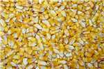 Livestock feed Yellow Maize Grain (Corn) Animal Feed Grade availa Livestock