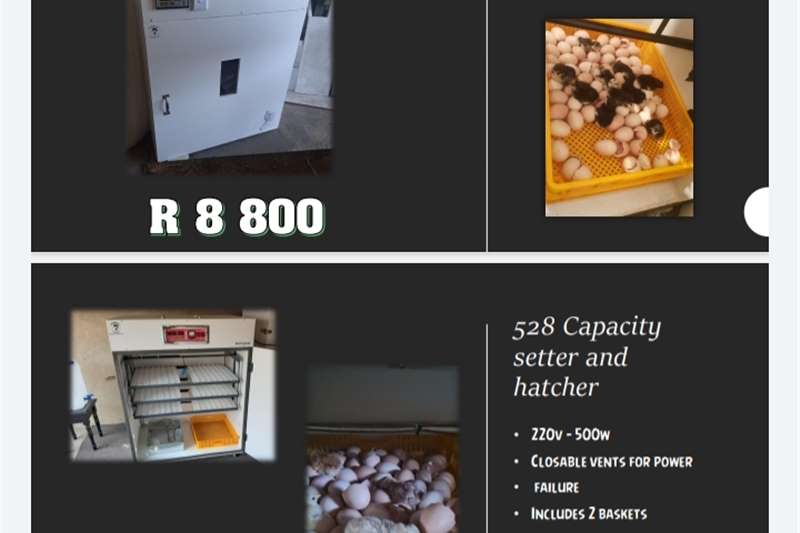 Poultry Incubators and hatchers for sale Livestock