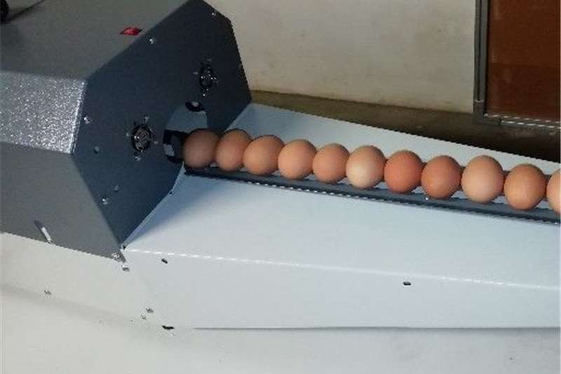 The Incredible Egg Cleaner for Fresh Eggs