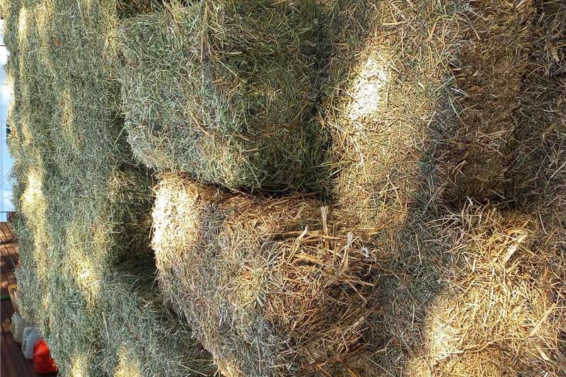 B grade lucern bales 25 kg  60 rand 1 Seeds fertilisers and chemicals