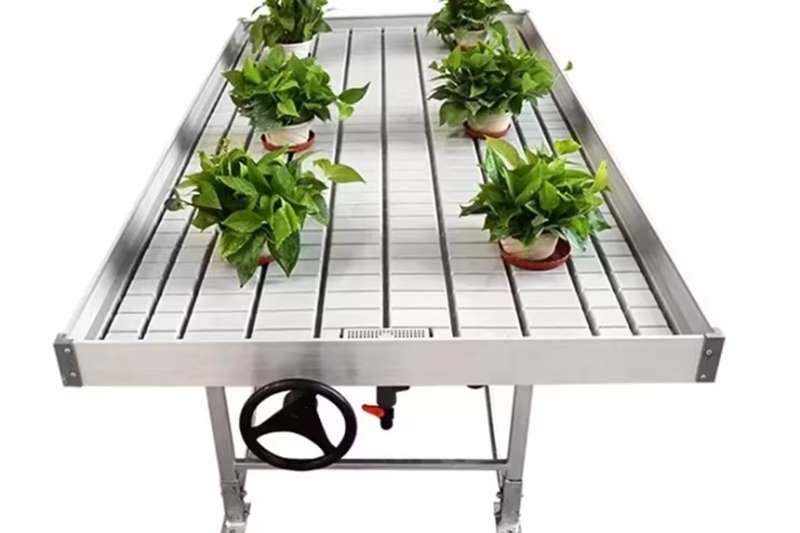 Greenhouses Greenhouse or Grow Room Rolling Benches Structures and dams