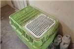 Livestock housing  Chicken crates and automatic water feeders Structures and dams